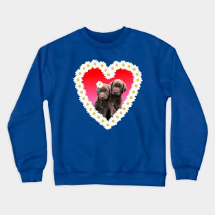 Chocolate Lab Puppies Flower Daisy Heart Crewneck Sweatshirt